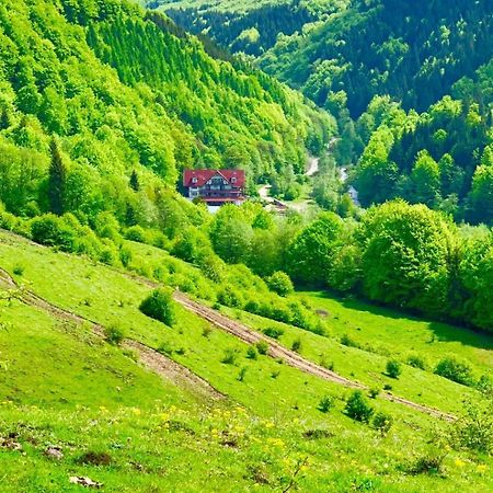 Cabana Izvoarele Doftanei Trăisteni Exteriör bild