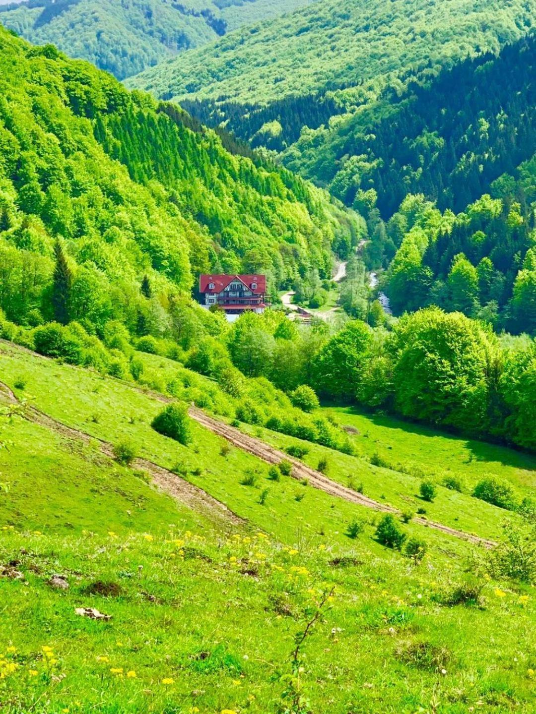 Cabana Izvoarele Doftanei Trăisteni Exteriör bild