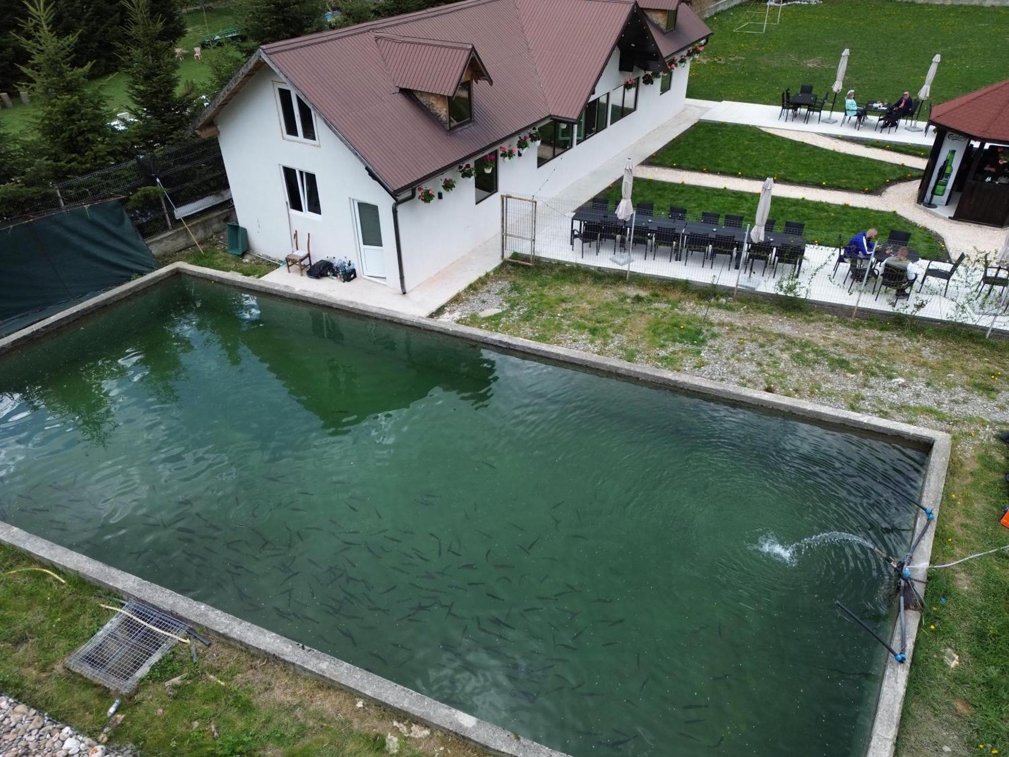 Cabana Izvoarele Doftanei Trăisteni Exteriör bild